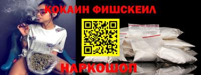 крисы Можга