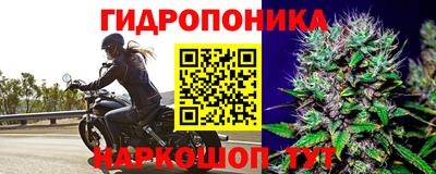 экстази Моздок