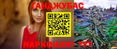 крисы Можга