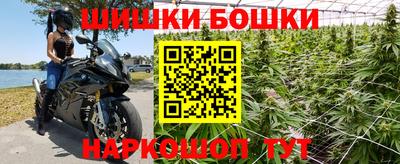 крисы Можга