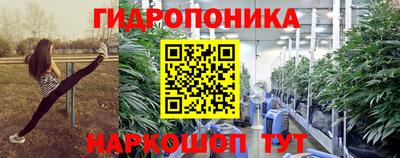 крисы Можга