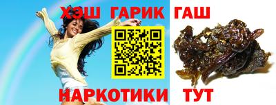 крисы Можга