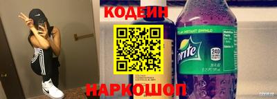 крисы Можга