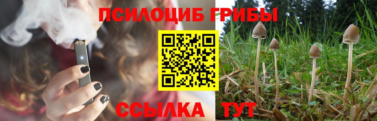 хочу   Галлюциногенные грибы Psilocybine cubensis  Вход с VPN  Псилоцибиновые грибы Cubensis  Сочи 